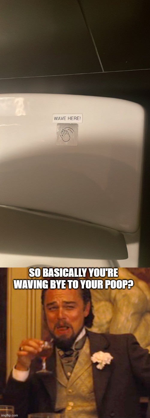 insert title here | SO BASICALLY YOU'RE WAVING BYE TO YOUR POOP? | image tagged in memes,laughing leo,toilet,what in tarnation | made w/ Imgflip meme maker