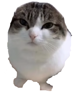 High Quality Wawa cat Transparent Blank Meme Template