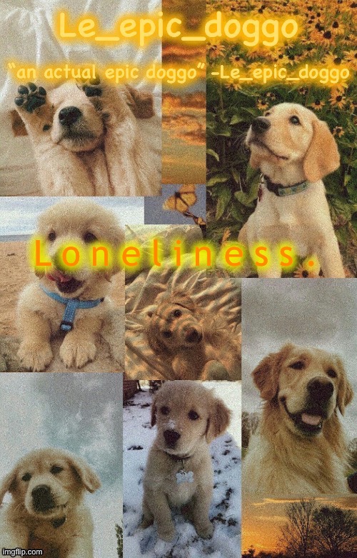 Doggo temp by doggo. Wait what that’s confusing | L o n e l i n e s s . | image tagged in doggo temp by doggo wait what that s confusing | made w/ Imgflip meme maker