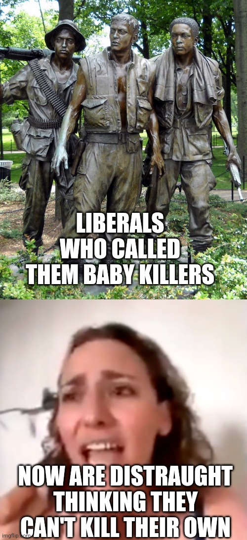 Baby killer |  LIBERALS WHO CALLED THEM BABY KILLERS; NOW ARE DISTRAUGHT THINKING THEY CAN'T KILL THEIR OWN | image tagged in liberals | made w/ Imgflip meme maker