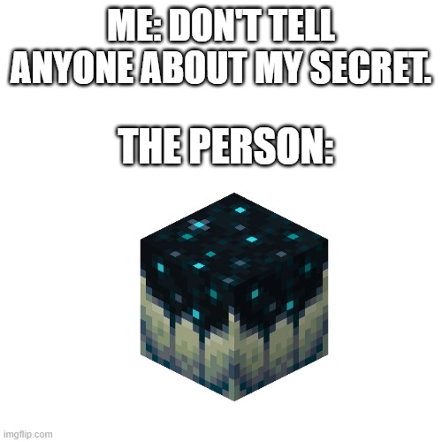 Blank Transparent Square | ME: DON'T TELL ANYONE ABOUT MY SECRET. THE PERSON: | image tagged in memes,blank transparent square | made w/ Imgflip meme maker