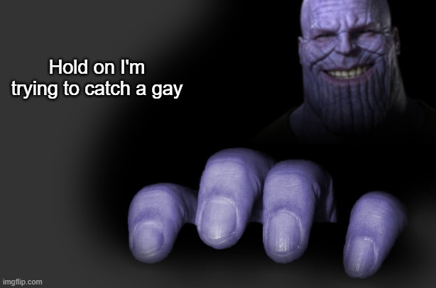 thanos is trying to catch a gay | Hold on I'm trying to catch a gay | image tagged in thanos is trying to catch a gay | made w/ Imgflip meme maker