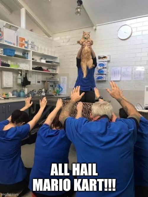 People Worshipping The Cat | ALL HAIL MARIO KART!!! | image tagged in people worshipping the cat | made w/ Imgflip meme maker