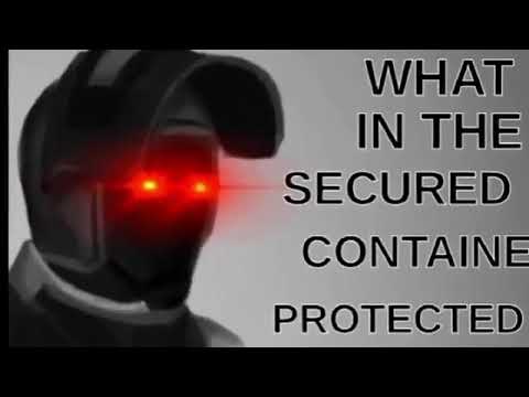 What in the Secured Contained Protected Blank Meme Template