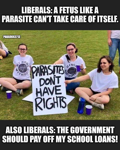 Takes one to know one? | LIBERALS: A FETUS LIKE A PARASITE CAN'T TAKE CARE OF ITSELF. PARADOX3713; ALSO LIBERALS: THE GOVERNMENT SHOULD PAY OFF MY SCHOOL LOANS! | image tagged in memes,politics,liberals,antifa,abortion is murder,democrats | made w/ Imgflip meme maker