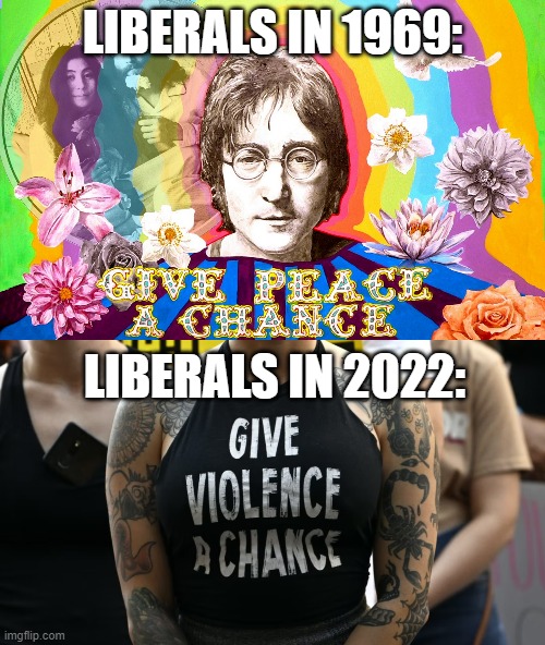liberalism through the ages | LIBERALS IN 1969:; LIBERALS IN 2022: | image tagged in roe v wade,roe,wade | made w/ Imgflip meme maker