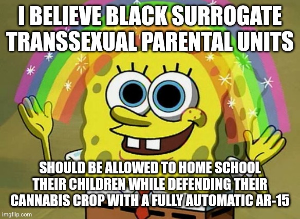 Imagination Spongebob Meme | I BELIEVE BLACK SURROGATE TRANSSEXUAL PARENTAL UNITS; SHOULD BE ALLOWED TO HOME SCHOOL THEIR CHILDREN WHILE DEFENDING THEIR CANNABIS CROP WITH A FULLY AUTOMATIC AR-15 | image tagged in memes,imagination spongebob | made w/ Imgflip meme maker