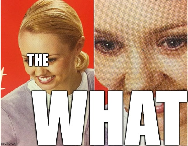 WAIT WHAT? | THE WHAT | image tagged in wait what | made w/ Imgflip meme maker