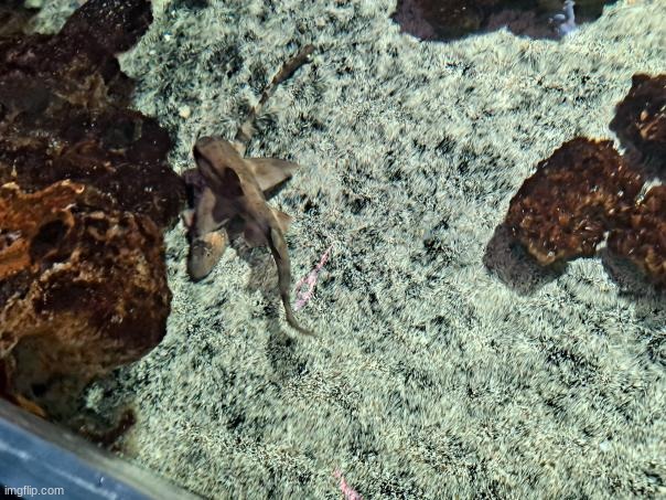 upper view of the lad | made w/ Imgflip meme maker