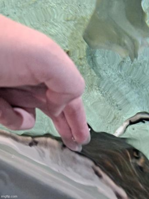 this looks like an AI generated image | made w/ Imgflip meme maker