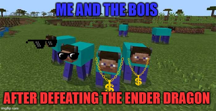 me and the boys | ME AND THE BOIS; AFTER DEFEATING THE ENDER DRAGON | image tagged in me and the boys | made w/ Imgflip meme maker