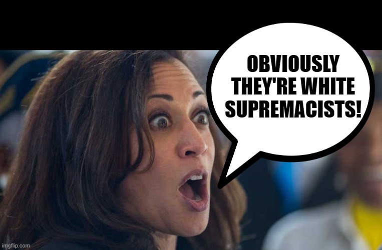 kamala harriss | OBVIOUSLY THEY'RE WHITE SUPREMACISTS! | image tagged in kamala harriss | made w/ Imgflip meme maker