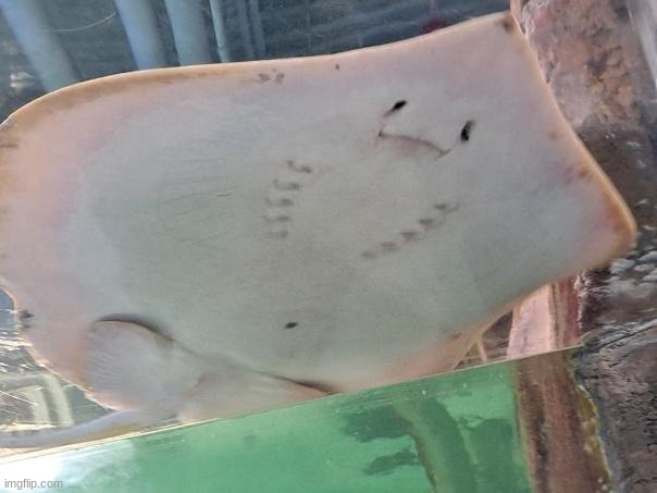 ":I" | made w/ Imgflip meme maker