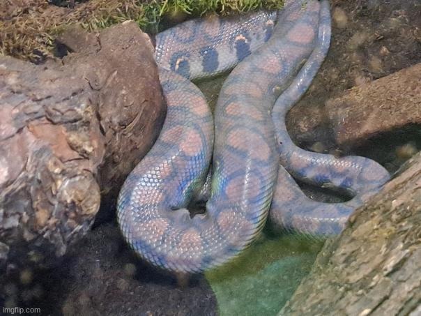 he loks like he sleepd in a sossij cayseeng | made w/ Imgflip meme maker