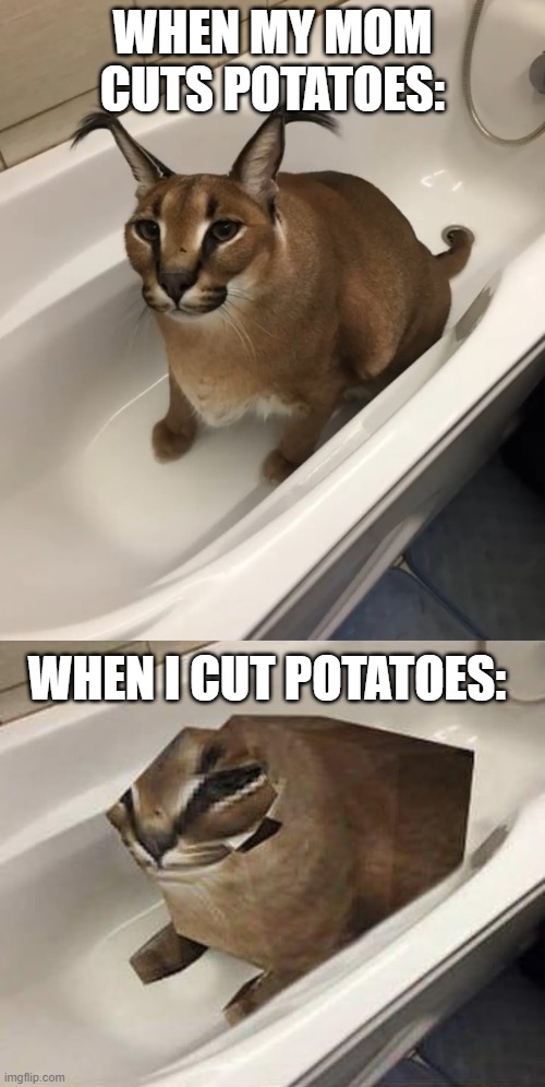 Image Title | WHEN MY MOM CUTS POTATOES:; WHEN I CUT POTATOES: | image tagged in big floppa in the tub,floppa tub,potatoes | made w/ Imgflip meme maker