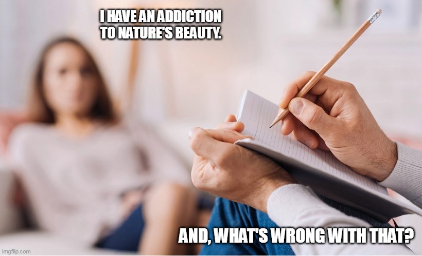 Psychiatrist | I HAVE AN ADDICTION TO NATURE'S BEAUTY. AND, WHAT'S WRONG WITH THAT? | image tagged in psychiatrist | made w/ Imgflip meme maker