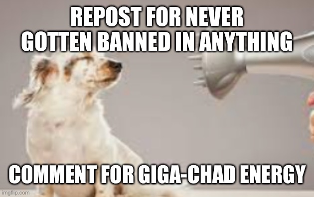 upvote for ? | REPOST FOR NEVER GOTTEN BANNED IN ANYTHING; COMMENT FOR GIGA-CHAD ENERGY | image tagged in grooming | made w/ Imgflip meme maker