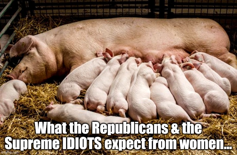Breeders | What the Republicans & the Supreme IDIOTS expect from women... | image tagged in supreme court,republicans,abortion,women's rights | made w/ Imgflip meme maker