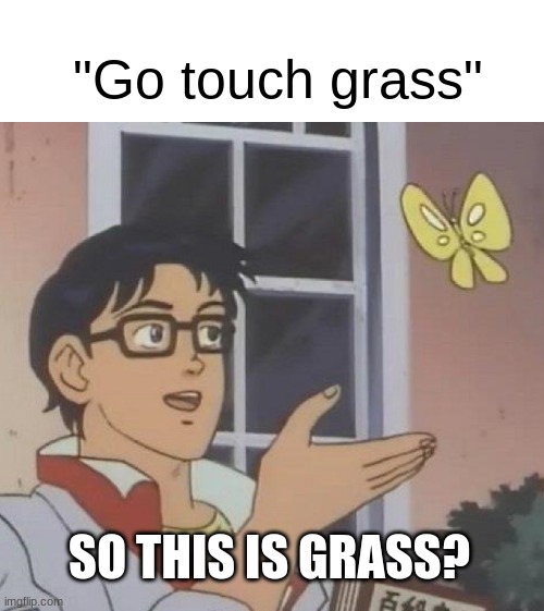 :/ |  "Go touch grass"; SO THIS IS GRASS? | image tagged in memes,is this a pigeon,funny | made w/ Imgflip meme maker