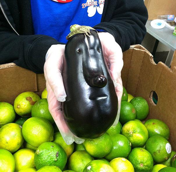 High Quality Faced Eggplant Blank Meme Template