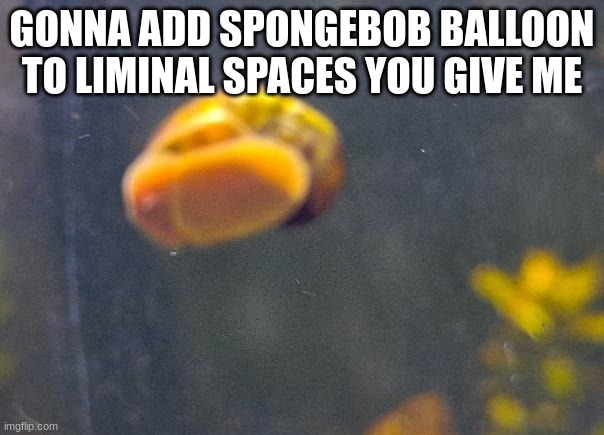 epic snail1!!11!11!!11 | GONNA ADD SPONGEBOB BALLOON TO LIMINAL SPACES YOU GIVE ME | image tagged in epic snail1 11 11 11 | made w/ Imgflip meme maker