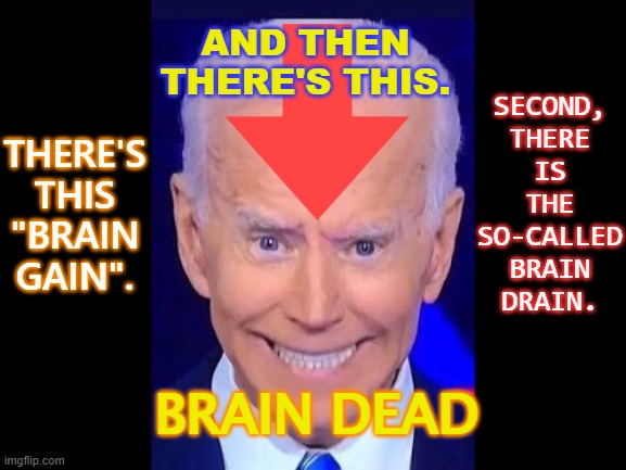 There's this "brain gain". Second, there is the so-called brain drain. And then there's this. Brain Dead | AND THEN THERE'S THIS. SECOND,
THERE
IS
THE
SO-CALLED
BRAIN
DRAIN. THERE'S
THIS
"BRAIN GAIN". BRAIN DEAD | image tagged in joe biden's melting brain | made w/ Imgflip meme maker