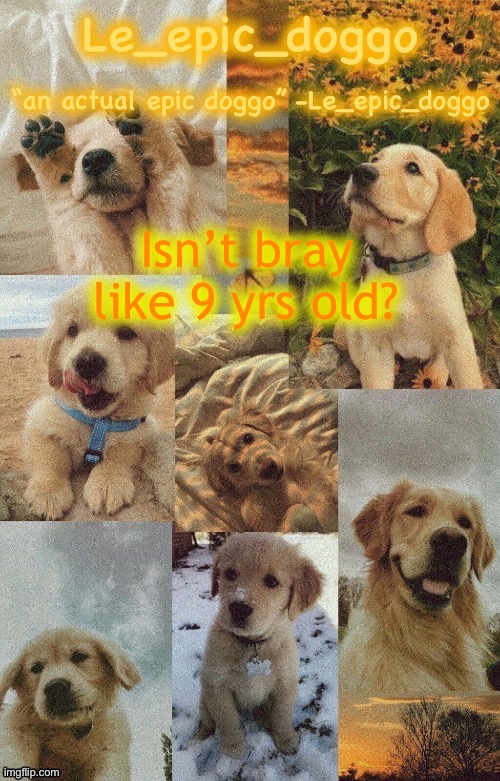 I swear I remember a comment saying he’s 9 | Isn’t bray like 9 yrs old? | image tagged in doggo temp by doggo wait what that s confusing | made w/ Imgflip meme maker