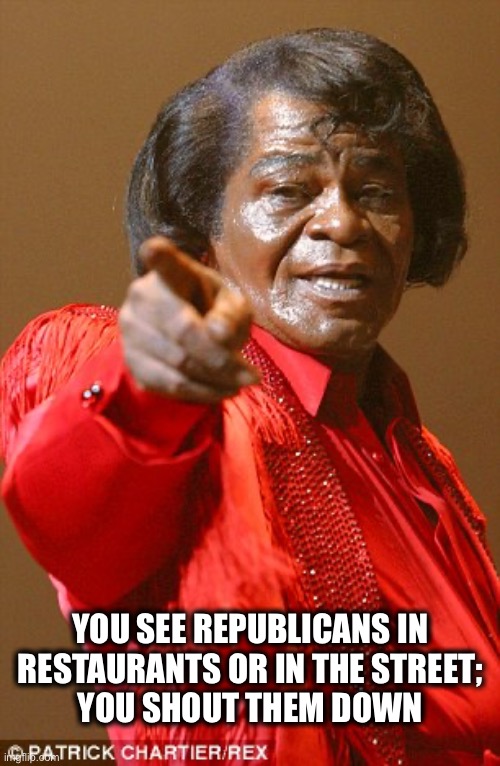 James Brown | YOU SEE REPUBLICANS IN 
RESTAURANTS OR IN THE STREET; 
YOU SHOUT THEM DOWN | image tagged in james brown | made w/ Imgflip meme maker