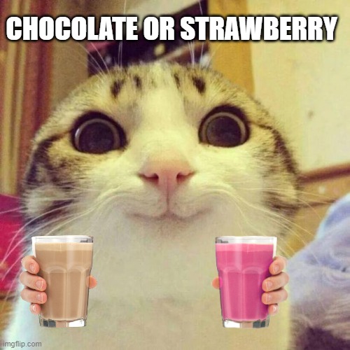 Smiling Cat Meme | CHOCOLATE OR STRAWBERRY | image tagged in memes,smiling cat | made w/ Imgflip meme maker