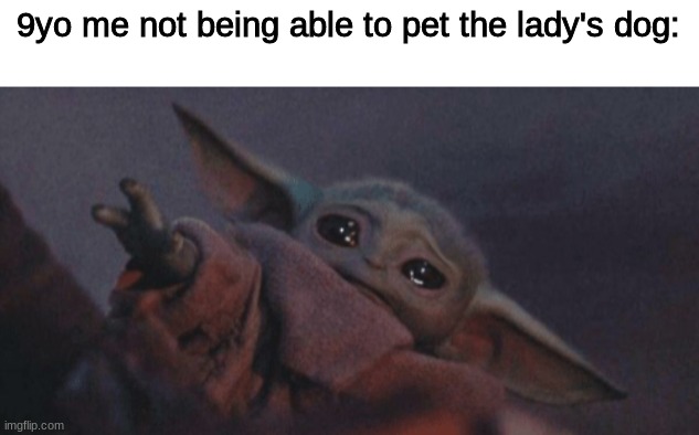 :'[ |  9yo me not being able to pet the lady's dog: | image tagged in baby yoda cry,memes,haha | made w/ Imgflip meme maker