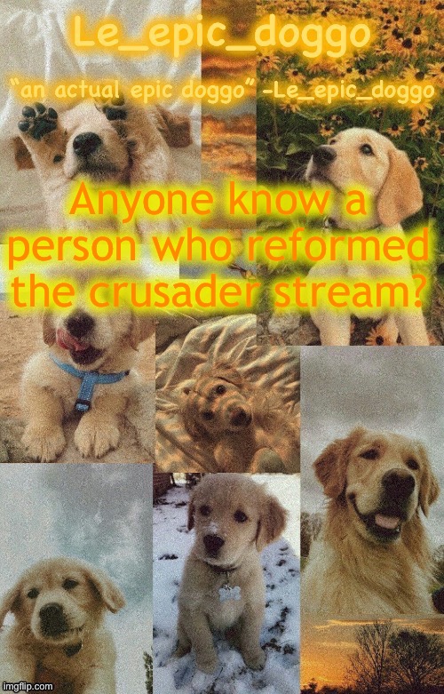 Doggo temp by doggo. Wait what that’s confusing | Anyone know a person who reformed the crusader stream? | image tagged in doggo temp by doggo wait what that s confusing | made w/ Imgflip meme maker