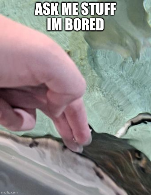 riggity roo ahh stingray and hand | ASK ME STUFF
IM BORED | image tagged in riggity roo ahh stingray and hand | made w/ Imgflip meme maker