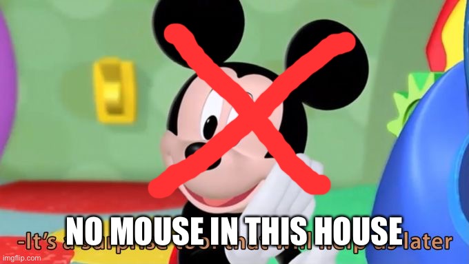 Mickey mouse tool | NO MOUSE IN THIS HOUSE | image tagged in mickey mouse tool | made w/ Imgflip meme maker