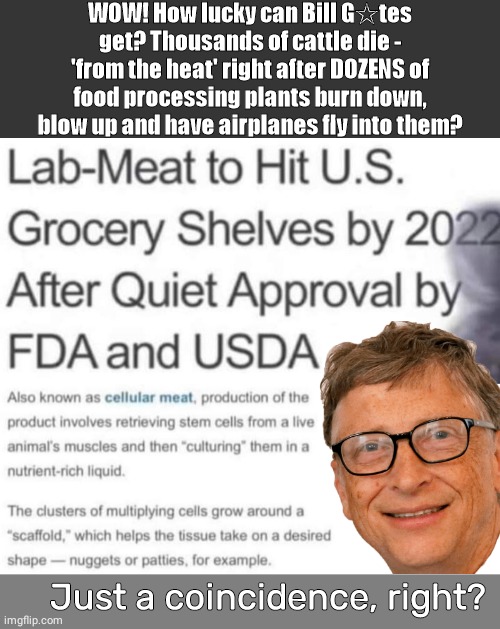 Lizard Bill Gates fake meat marketing ploy |  WOW! How lucky can Bill G☆tes get? Thousands of cattle die - 'from the heat' right after DOZENS of food processing plants burn down, blow up and have airplanes fly into them? Just a coincidence, right? | image tagged in grey blank temp,blank white template,blank grey | made w/ Imgflip meme maker