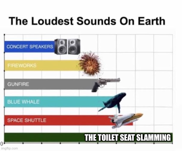 It hurts the ears | THE TOILET SEAT SLAMMING | image tagged in the loudest sounds on earth,toilet,slam,funny | made w/ Imgflip meme maker