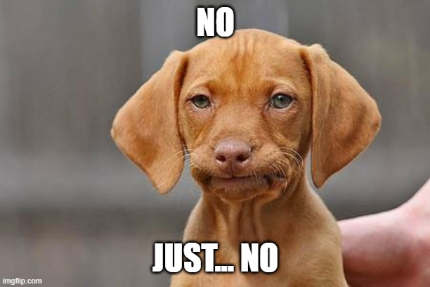 Dissapointed puppy | NO JUST... NO | image tagged in dissapointed puppy | made w/ Imgflip meme maker