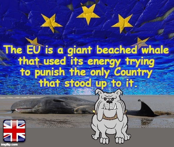 EU beached ! | image tagged in whale | made w/ Imgflip meme maker
