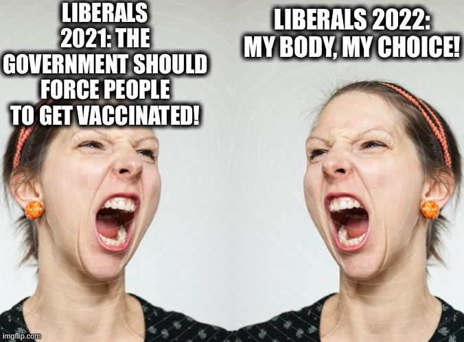 If liberals didn’t have double standards they would have no standards at all. |  LIBERALS 2021: THE GOVERNMENT SHOULD FORCE PEOPLE TO GET VACCINATED! LIBERALS 2022: MY BODY, MY CHOICE! | image tagged in liberal hypocrisy,liberal logic,vaccinations,abortion,memes,democrats | made w/ Imgflip meme maker
