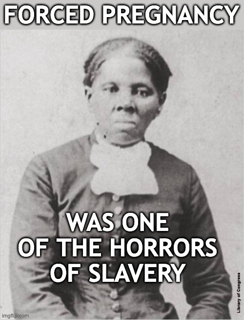 Harriet Tubman | FORCED PREGNANCY WAS ONE OF THE HORRORS OF SLAVERY | image tagged in harriet tubman | made w/ Imgflip meme maker
