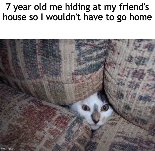 hehehe | 7 year old me hiding at my friend's house so I wouldn't have to go home | image tagged in hiding cat,childhood,relatable,oh wow are you actually reading these tags | made w/ Imgflip meme maker