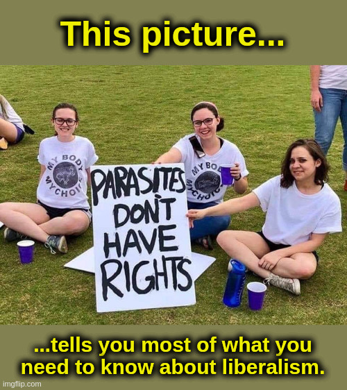 What You Need To Know About Liberals |  This picture... ...tells you most of what you
need to know about liberalism. | image tagged in liberals,democrats,progressives,abortion,birth,fetus | made w/ Imgflip meme maker