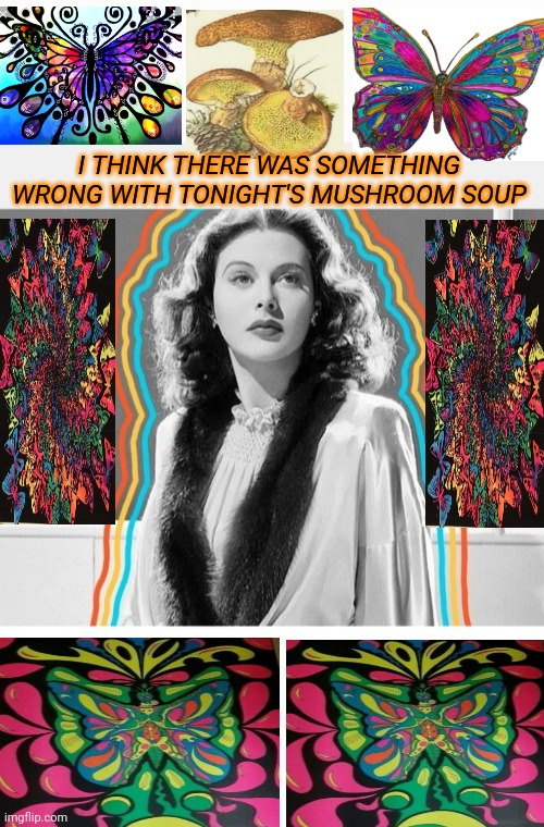 Magic Mushroom | I THINK THERE WAS SOMETHING WRONG WITH TONIGHT'S MUSHROOM SOUP | image tagged in oh no,far cry,bizarre/oddities,magic mushrooms | made w/ Imgflip meme maker