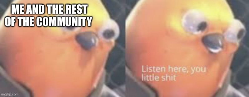 Listen here you little shit bird | ME AND THE REST OF THE COMMUNITY | image tagged in listen here you little shit bird | made w/ Imgflip meme maker