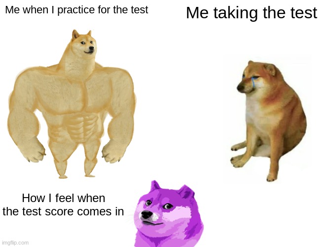 Doge cry say bye I may die like pie? | Me when I practice for the test; Me taking the test; How I feel when the test score comes in | image tagged in memes,buff doge vs cheems | made w/ Imgflip meme maker