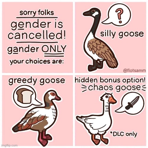 I am chaos goose | made w/ Imgflip meme maker