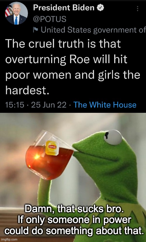 Worthless senile POS. | Damn, that sucks bro. If only someone in power could do something about that. | image tagged in memes,but that's none of my business,joe biden,abortion,roe v wade | made w/ Imgflip meme maker