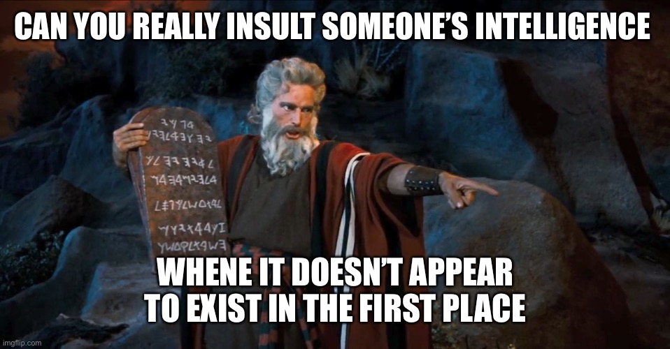 Cartoon meme fail when insulting intelligence | CAN YOU REALLY INSULT SOMEONE’S INTELLIGENCE; WHENE IT DOESN’T APPEAR TO EXIST IN THE FIRST PLACE | image tagged in cartoon meme fail when insulting intelligence | made w/ Imgflip meme maker