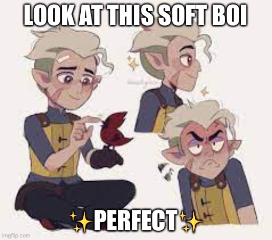 Just look at him <3 | LOOK AT THIS SOFT BOI; ✨PERFECT✨ | made w/ Imgflip meme maker