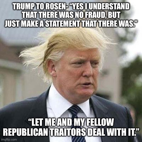 Donald Trump | TRUMP TO ROSEN- “YES I UNDERSTAND THAT THERE WAS NO FRAUD, BUT JUST MAKE A STATEMENT THAT THERE WAS.”; “LET ME AND MY FELLOW REPUBLICAN TRAITORS DEAL WITH IT.” | image tagged in donald trump | made w/ Imgflip meme maker