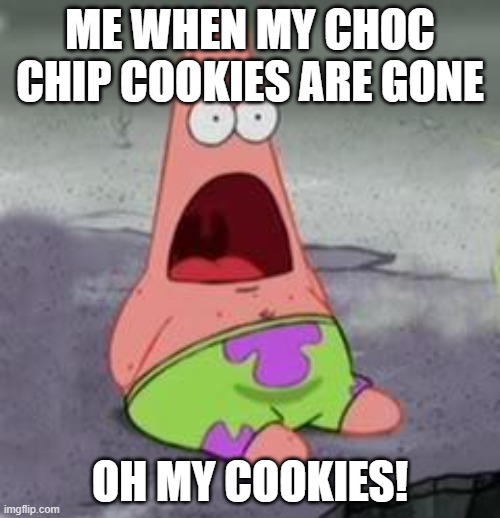 Choc chip cookies |  ME WHEN MY CHOC CHIP COOKIES ARE GONE; OH MY COOKIES! | image tagged in suprised patrick | made w/ Imgflip meme maker